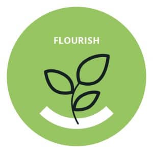 FLOURISH_icon_2021